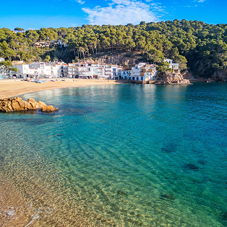 buy tamariu premium homes