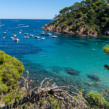 buy tamariu premum home